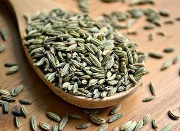 تصویر 4 از خرید گیاه دارویی رازیانه + قیمت فروش استثنایی